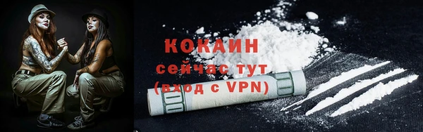 сатива Вяземский