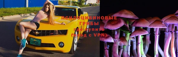 2c-b Вязники