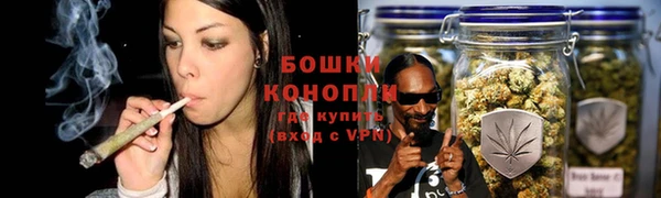 сатива Вяземский
