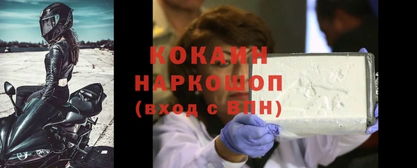 сатива Вяземский