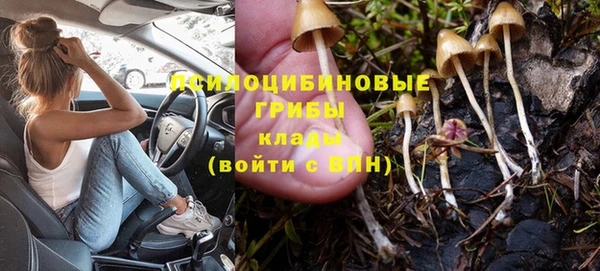 сатива Вяземский