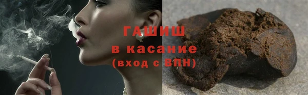 сатива Вяземский