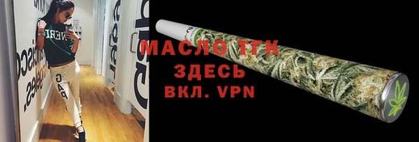 сатива Вяземский
