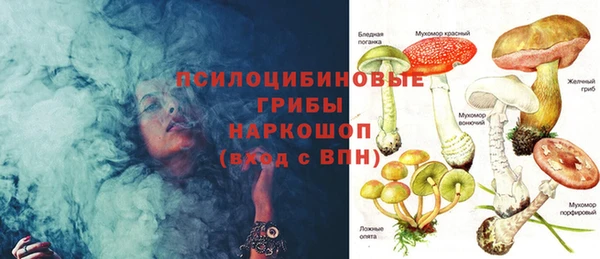 сатива Вяземский