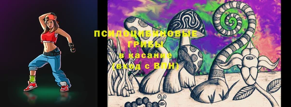 сатива Вяземский