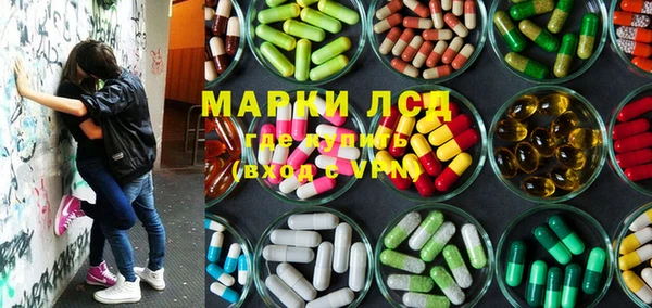 сатива Вяземский