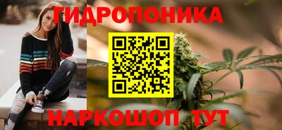 гидра Краснокаменск