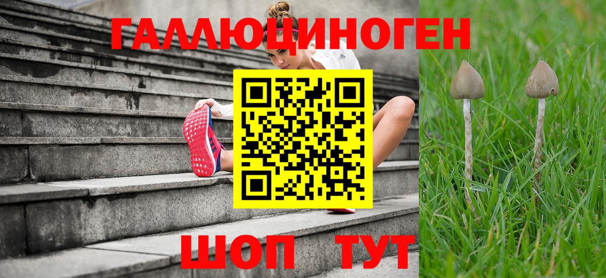 Новочебоксарск  Псилоцибиновые грибы MAGIC MUSHROOMS  Вход с VPN  Галлюциногенные грибы мухоморы 