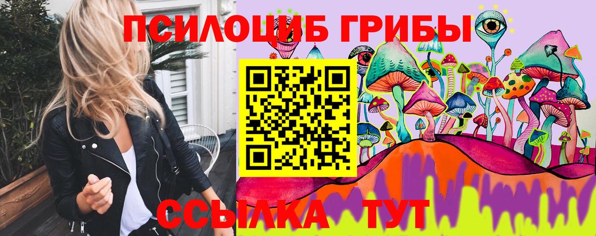 Галлюциногенные грибы прущие грибы Новочебоксарск